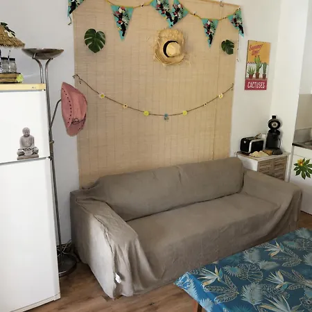 Climatise Avec Jardin Privatif Et Parking Apartman *